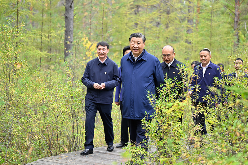 9月6日至8日，中共中央總書記、國(guó)家主席、中央軍委主席習(xí)近平在黑龍江考察。這是6日下午，習(xí)近平在大興安嶺地區(qū)漠河市漠河林場(chǎng)自然林區(qū)考察